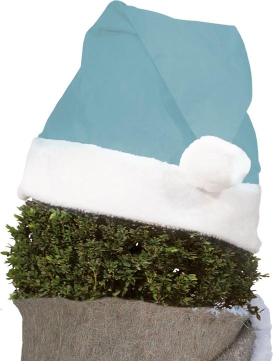 Image du produit Videx Chapeau de Noël végétal