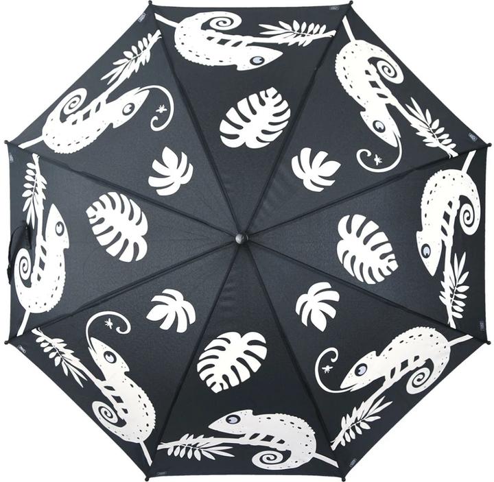 Produktbild Esschert Design Chamäleon