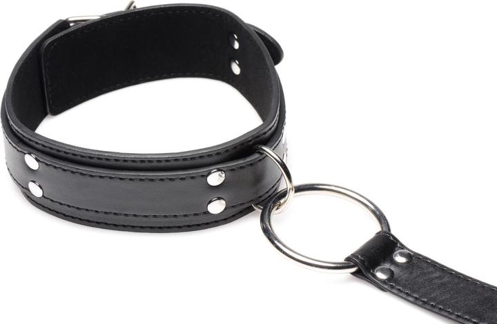 Image du produit XR Brands Neck to Wrist Restraints