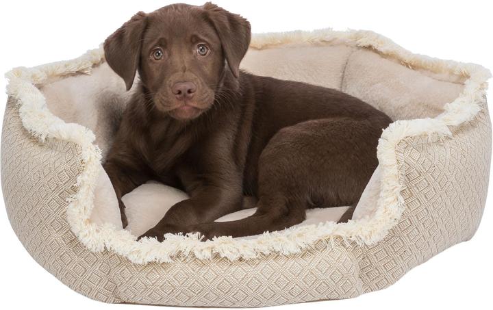 Actual product image Trixie Boho (Dog, Cat)
