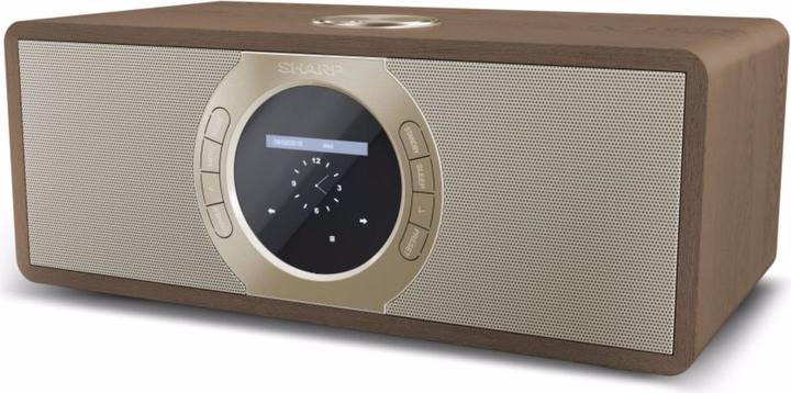 Immagine prodotto Sharp DR-I470(BR)PRO (FM, DAB, WiFi)