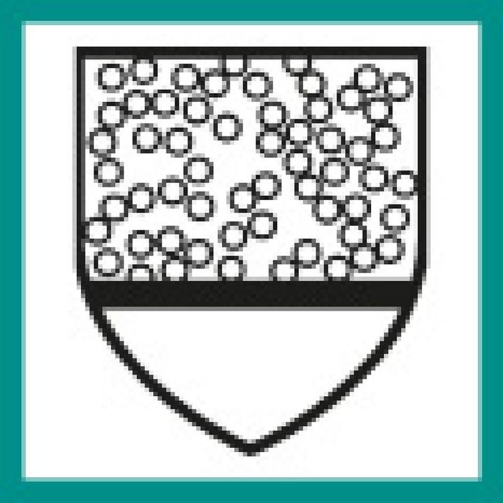 Produktbild Cover Chemieschutzoverall (XL)