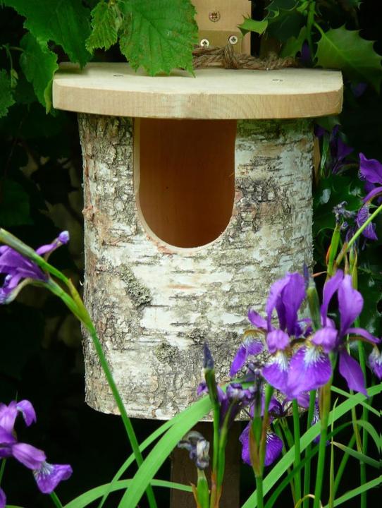 Actual product image Wildlife World Rotkehlchen