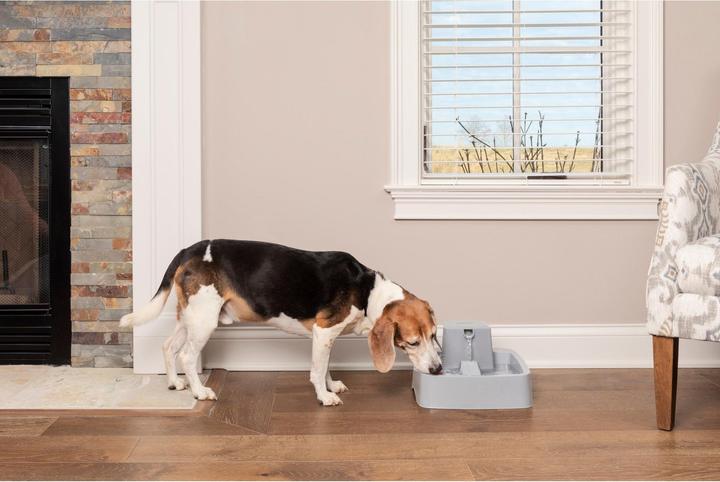 Image du produit Sportdog Drinkwell 3.7 Litre Pet Fountain - Adaptateur EU (3.70 l)