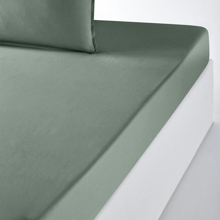 Actual product image La Redoute Interieurs Percale Bio (90 x 190 cm)