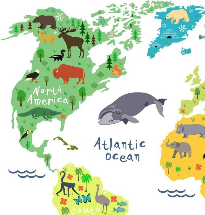 Actual product image Trenddeko animal world map (140 x 105 cm)