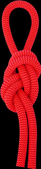 Actual product image Salewa Red 9.6 climbing rope (80 m)