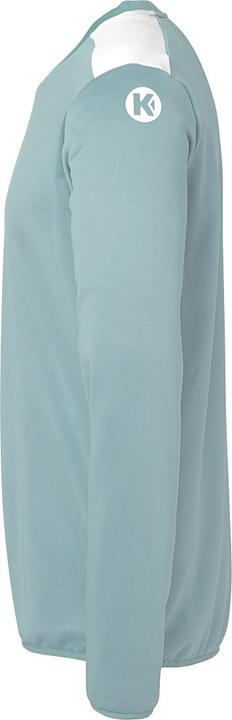 Actual product image Kempa Emotion 27 Training Top (140)