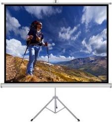 Immagine prodotto Art Display manuale ER T100 4:3 con (4:3)