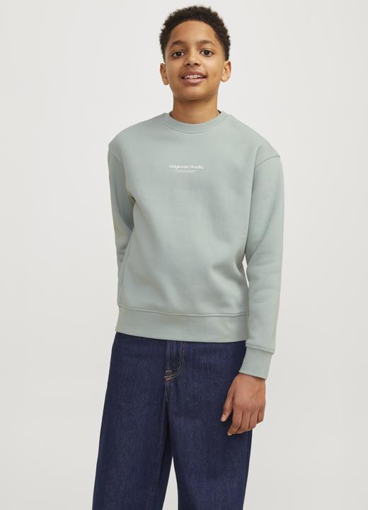 Immagine prodotto Jack & Jones Jorvesterbro Sweat Crew Neck Bn Mni (122)