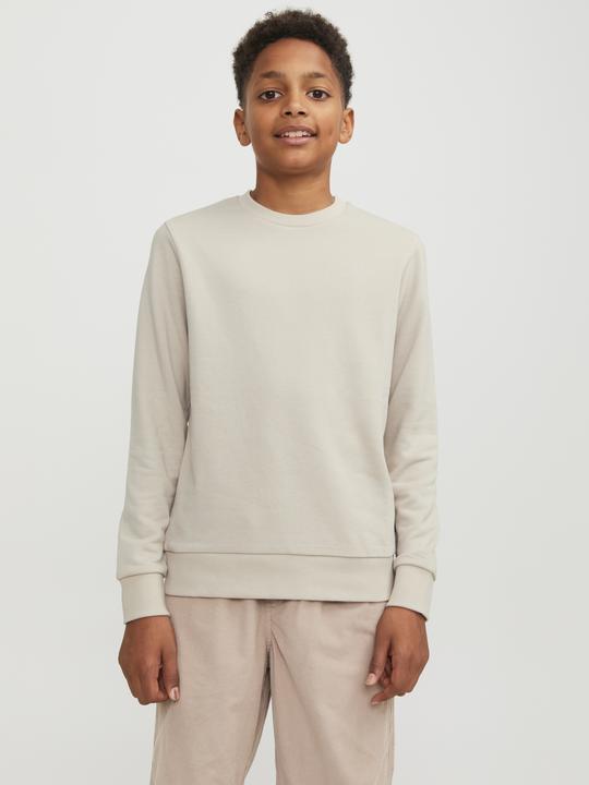 Actual product image Jack & Jones Boys Sweatshirt (164)