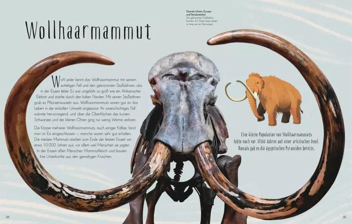 Immagine prodotto Wundervolle Welt der Dinosaurier und der Urzeit (Tedesco, Anusuya Chinsamy-Turan, 2022)