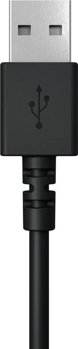 Produktbild Logitech H390 (Kabelgebunden, USB-A)