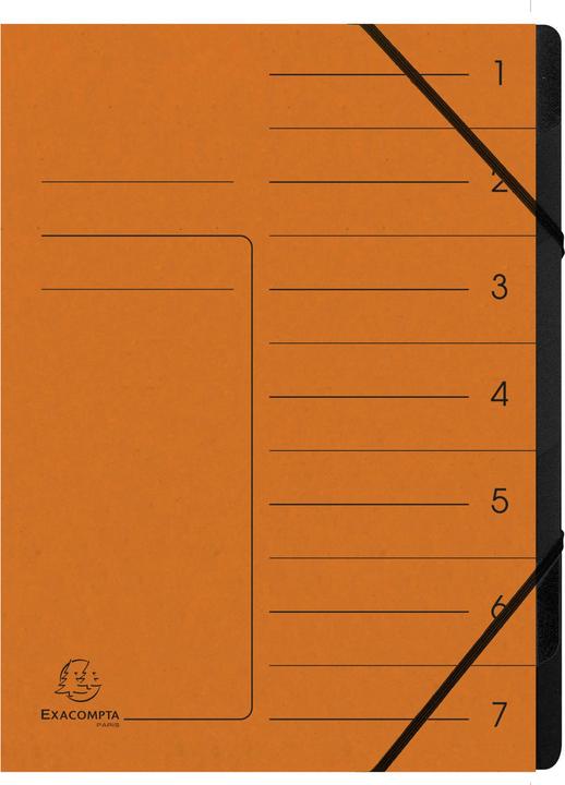 Image du produit Exacompta Fiches de classement agrafées (A4, 1 x)