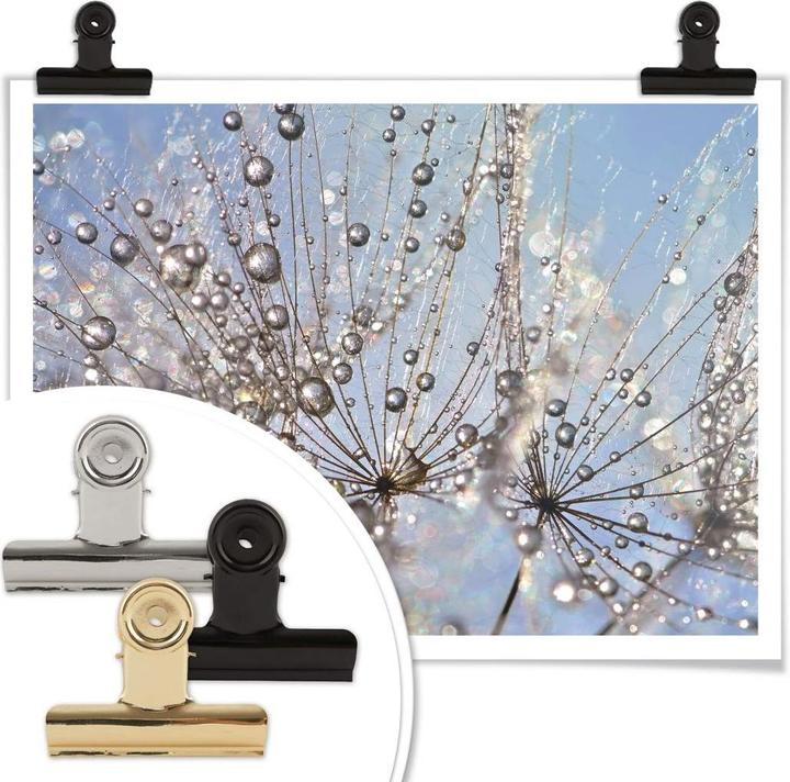 Actual product image Trenddeko Water drop in the dandelion (80 x 60 cm)