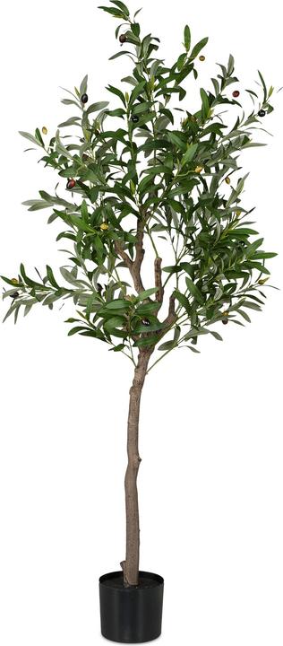 Produktbild Relaxdays Olivenbaum (90 cm)