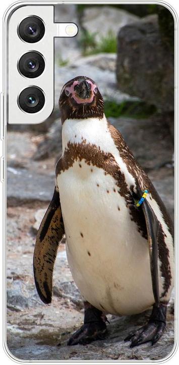 Pinguin