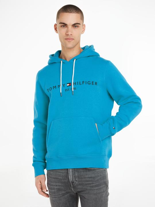 Image du produit Tommy Hilfiger Tommy Logo Hoody (M)