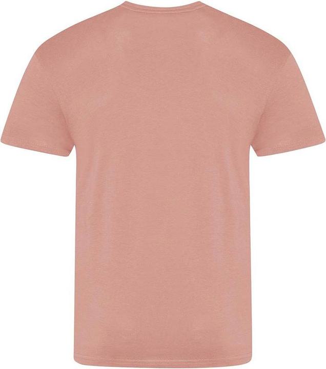 Produktbild Awdis The 100 Tshirt (L)