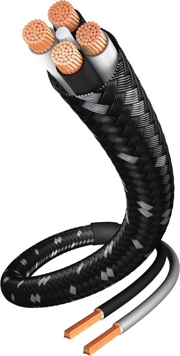 Inakustik Excellence LS-40 (3 m, 2.50 mm²)