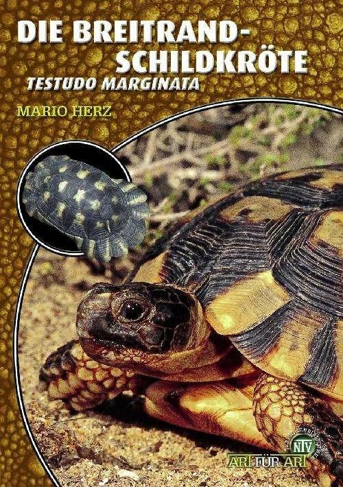 Produktbild Die Breitrandschildkröte (Deutsch, Mario Herz, 2023)