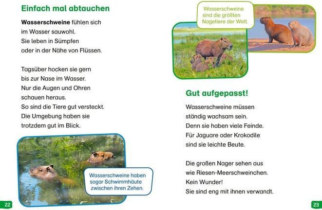 Produktbild Tessloff WAS IST WAS Erstes Lesen easy! Band 18. Tiere im Regenwald (Deutsch, Sonja Meierjürgen, Marie Gerstner, 2024)