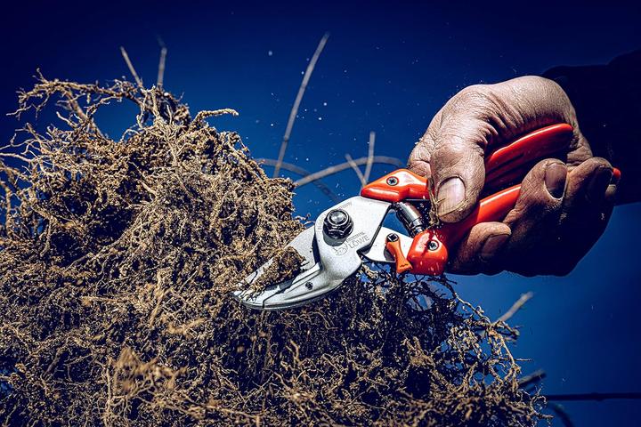 Actual product image Löwe Anvil secateurs 8.107