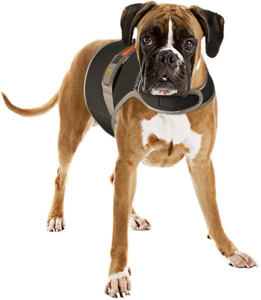 Produktbild Seecurity USB-Leuchtweste aus Neopren, L (L, Hundemantel)