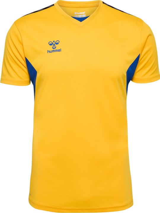 Sportsyellowtrueblue