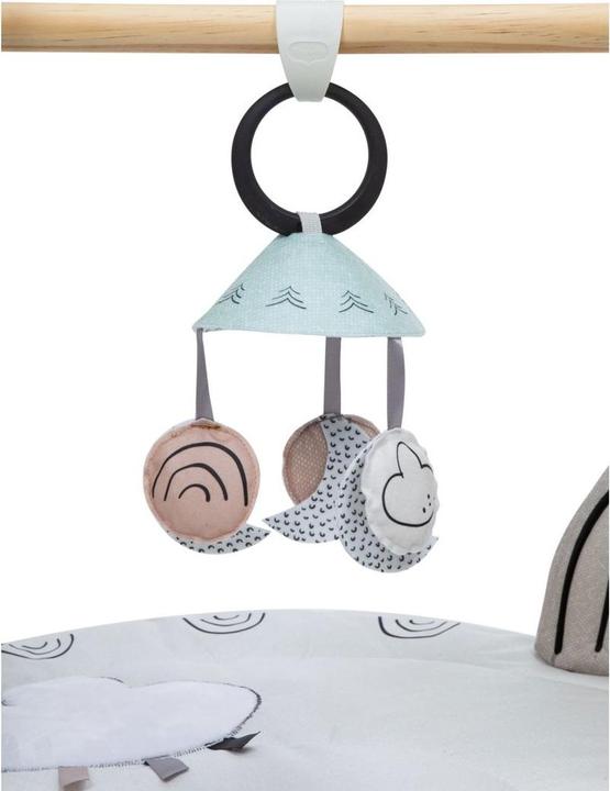 Actual product image Tiny Love Luxe Gymini