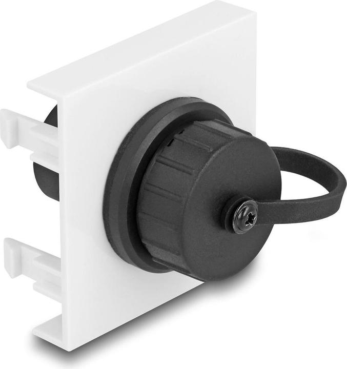 Delock Easy 45 Modul SuperSpeed USB 5 Gb (0.05 m, USB 3.2 Gen 1)