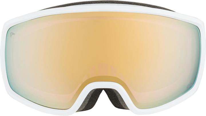Immagine prodotto ALPINA SPORTS Double Jack QV