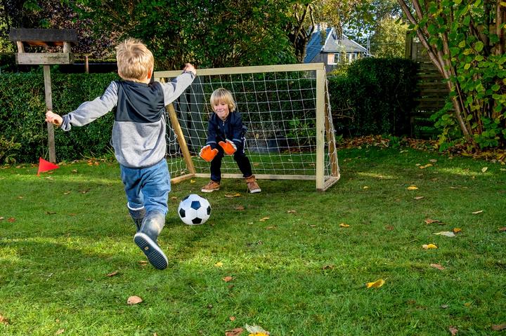 Actual product image Euro Play Homegoal Classic Mini