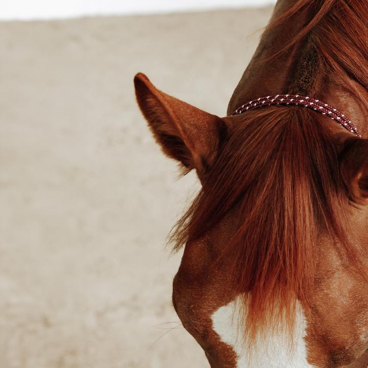 Produktbild Caperlan Knotenhalfter Natural Horsemanship Pferd/Pony bordeaux