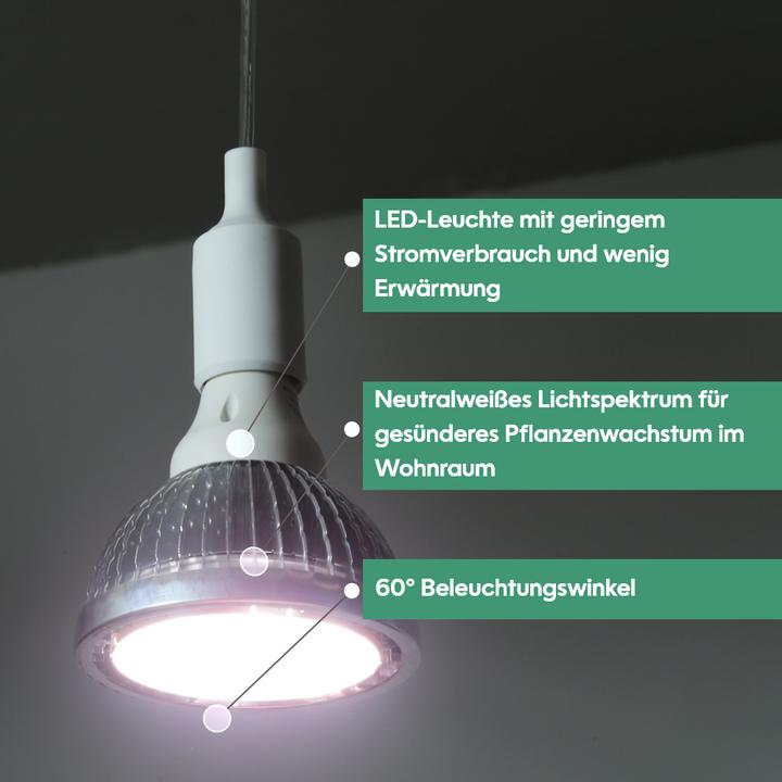 Produktbild Venso Grow Light Standard (LED, 245 V)