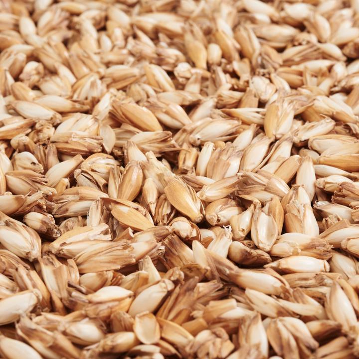 Actual product image VBS Spelt chaff, filling material, 250g (Beige)
