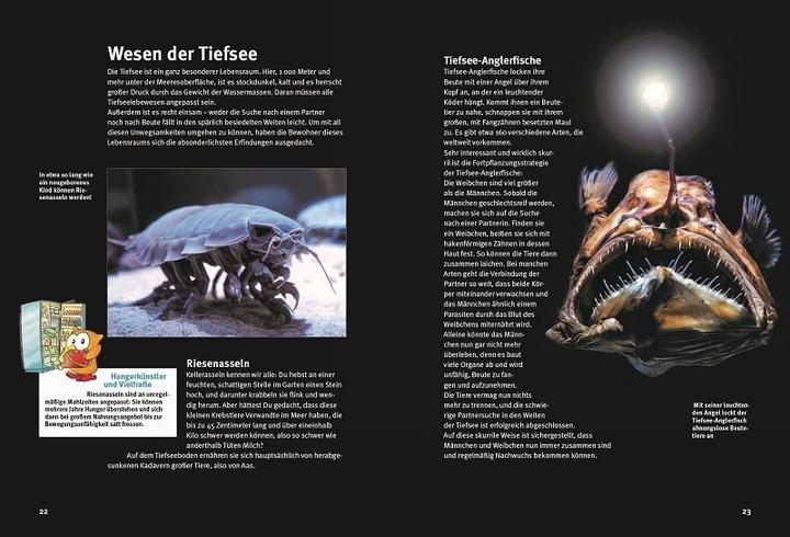 Produktbild Entdecke die skurrilsten Tiere der Welt (Deutsch, Leonie Proscurcin, 2023)
