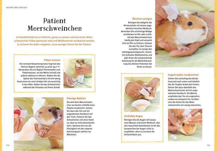 Produktbild Neugierige Meerschweinchen - So fühlen sie sich wohl (Deutsch, Immanuel Birmelin, 2015)