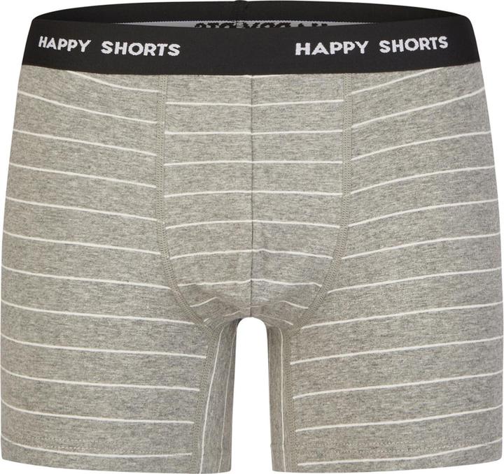 Actual product image Happy shorts Retro Boxer Classic (L, pack of 4)