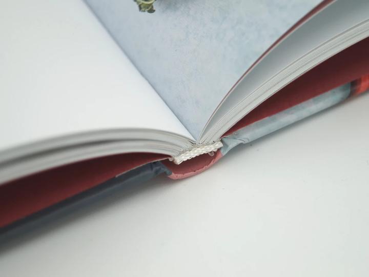 Produktbild Rhabarber - Raffinierte Rezepte für Süsses und Herzhaftes (Deutsch, Elke Adams, Sören Staun Petersen, 2020)