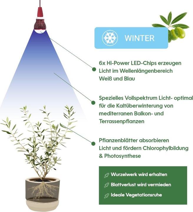 Produktbild Venso Grow Light Winter (LED, 245 V)