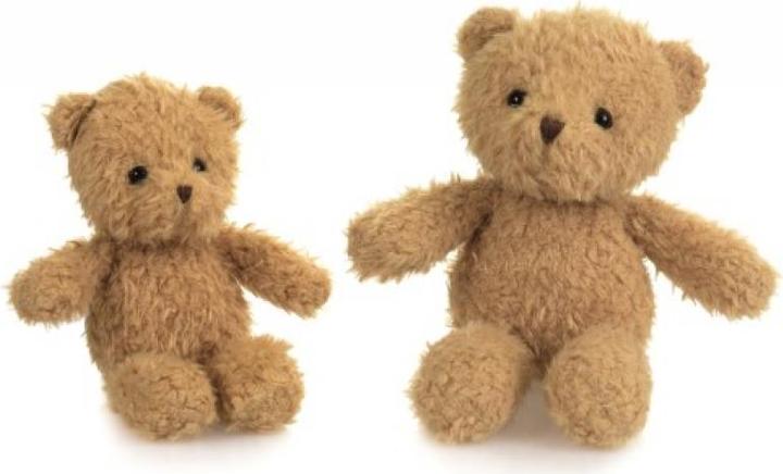 Actual product image Egmont Bear Morris (19 cm)