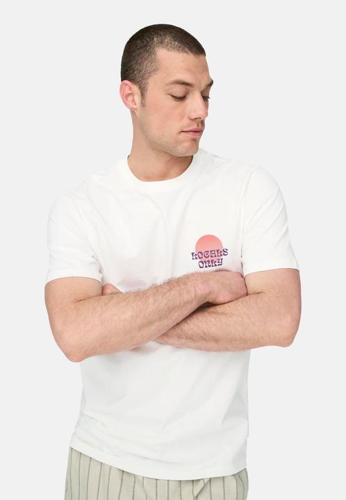 Immagine prodotto Only & Sons Onskye Reg Photo Ss Tee (L)
