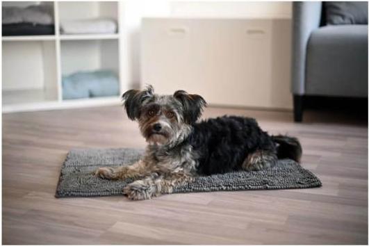 Actual product image Kerbl Superbed dust control mat, dog mat flat car, microfibre, 100x65cm (Dog)