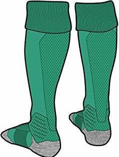 Actual product image Puma Team LIGA Socks-703438 (43, 46)