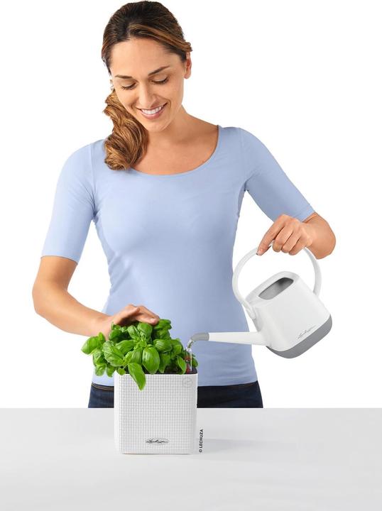 Actual product image Lechuza cube (14 cm)