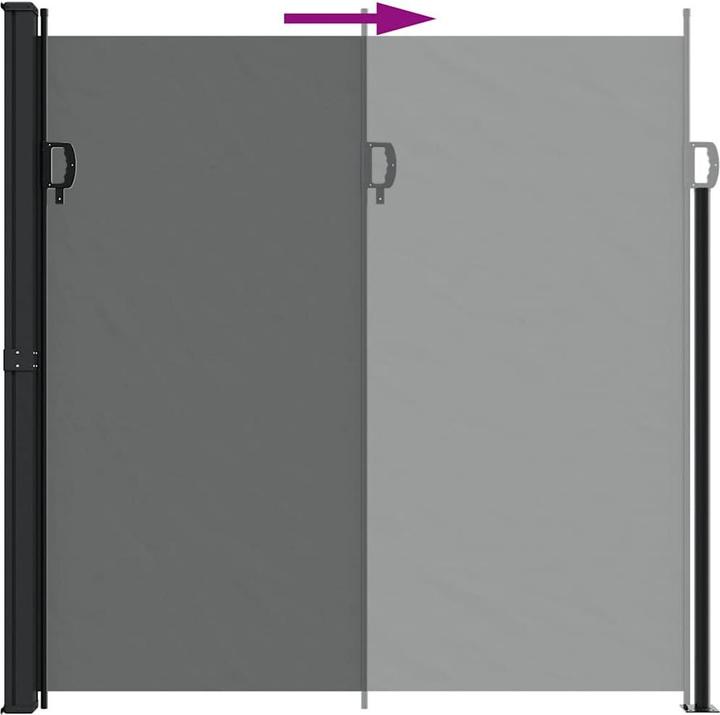 Actual product image VidaXL Extendable side awning (2 m)