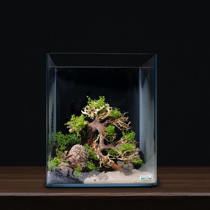 Actual product image Dennerle Decoration Bonsai Box (Embellishment, Tree)