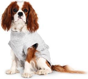 Actual product image Karlie Safety body for dogs, gray (60, Dog overalls)