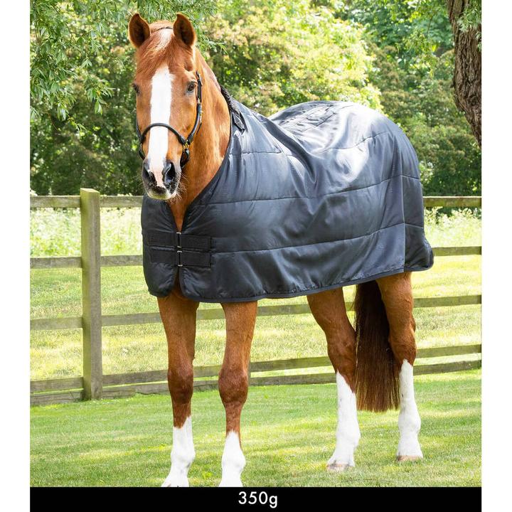 Produktbild Premier Equine 350 g